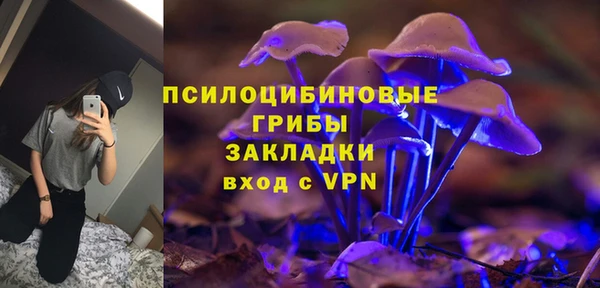 apvp Алексеевка